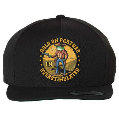 Country Side Hold On Partner Im Overstimulated Cowboy Frog Wool Snapback Cap