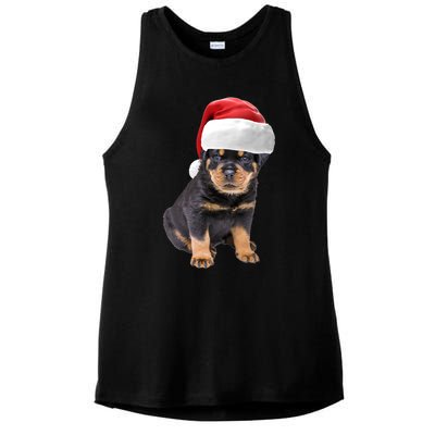 Christmas Santa Hat Rottweiler Gift Ladies PosiCharge Tri-Blend Wicking Tank