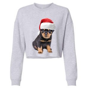 Christmas Santa Hat Rottweiler Gift Cropped Pullover Crew