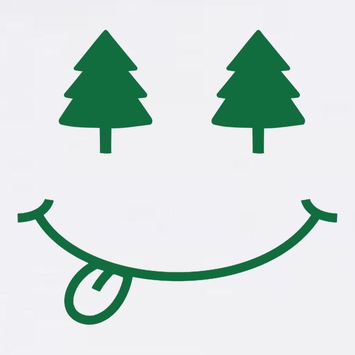 Christmas Smiley Holiday Flatbill Hat