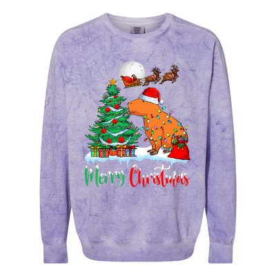 Capybara Santa Hat Xmas Tree Lights Merry Christmas Capybara Colorblast Crewneck Sweatshirt