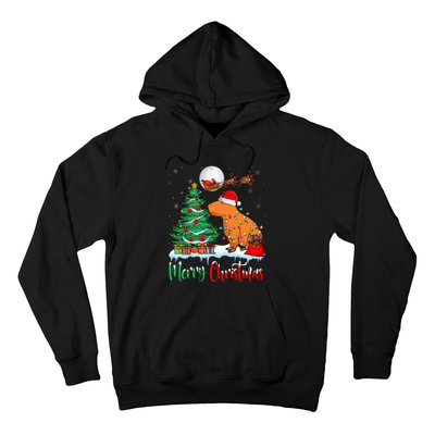 Capybara Santa Hat Xmas Tree Lights Merry Christmas Capybara Hoodie