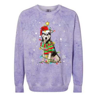 Cute Siberian Husky Dog Santa Christmas Tree Lights Xmas Gift Colorblast Crewneck Sweatshirt