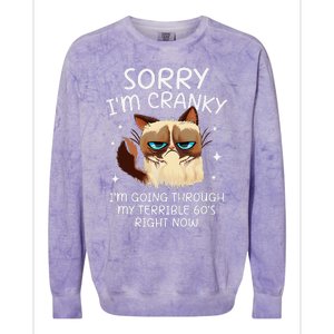 Cat Sorry IM Cranky IM Going Through My Terrible 60s Funny Colorblast Crewneck Sweatshirt