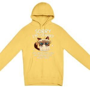 Cat Sorry IM Cranky IM Going Through My Terrible 60s Funny Premium Pullover Hoodie