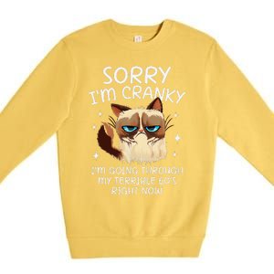 Cat Sorry IM Cranky IM Going Through My Terrible 60s Funny Premium Crewneck Sweatshirt