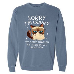 Cat Sorry IM Cranky IM Going Through My Terrible 60s Funny Garment-Dyed Sweatshirt