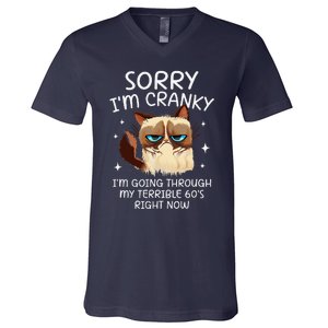 Cat Sorry IM Cranky IM Going Through My Terrible 60s Funny V-Neck T-Shirt