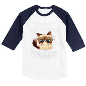 Cat Sorry IM Cranky IM Going Through My Terrible 60s Funny Baseball Sleeve Shirt