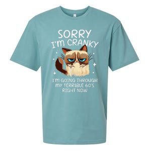 Cat Sorry IM Cranky IM Going Through My Terrible 60s Funny Sueded Cloud Jersey T-Shirt