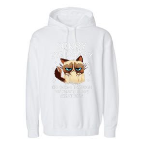 Cat Sorry IM Cranky IM Going Through My Terrible 60s Funny Garment-Dyed Fleece Hoodie