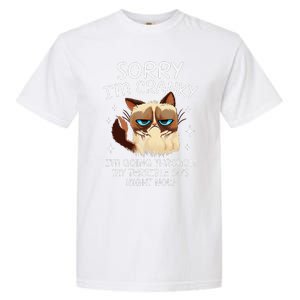 Cat Sorry IM Cranky IM Going Through My Terrible 60s Funny Garment-Dyed Heavyweight T-Shirt