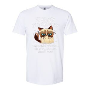 Cat Sorry IM Cranky IM Going Through My Terrible 60s Funny Softstyle CVC T-Shirt