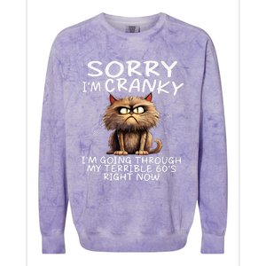 Cat Sorry IM Cranky IM Going Through My Terrible 60S Colorblast Crewneck Sweatshirt