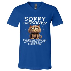 Cat Sorry IM Cranky IM Going Through My Terrible 60S V-Neck T-Shirt