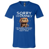 Cat Sorry IM Cranky IM Going Through My Terrible 60S V-Neck T-Shirt