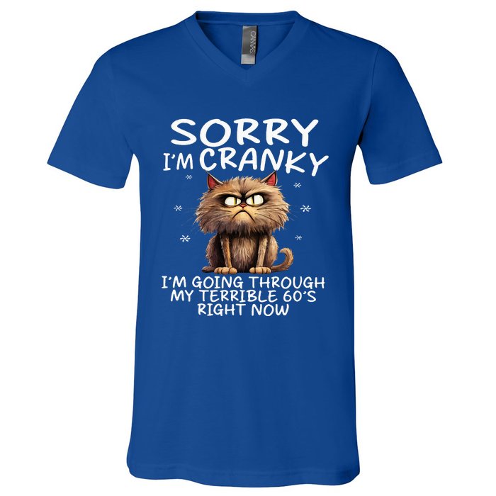 Cat Sorry IM Cranky IM Going Through My Terrible 60S V-Neck T-Shirt