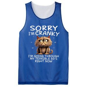 Cat Sorry IM Cranky IM Going Through My Terrible 60S Mesh Reversible Basketball Jersey Tank