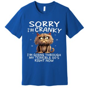 Cat Sorry IM Cranky IM Going Through My Terrible 60S Premium T-Shirt