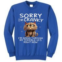 Cat Sorry IM Cranky IM Going Through My Terrible 60S Tall Sweatshirt