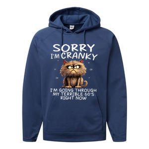 Cat Sorry IM Cranky IM Going Through My Terrible 60S Performance Fleece Hoodie