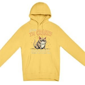 Cat Sorry IM Cranky IM Going Through My Terrible 60S Gift Premium Pullover Hoodie