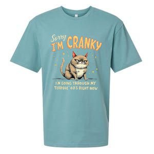 Cat Sorry IM Cranky IM Going Through My Terrible 60S Gift Sueded Cloud Jersey T-Shirt