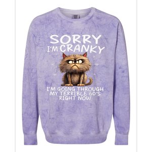 Cat Sorry IM Cranky IM Going Through My Terrible 60S Colorblast Crewneck Sweatshirt