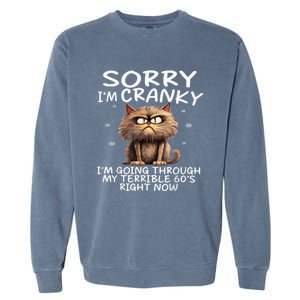 Cat Sorry IM Cranky IM Going Through My Terrible 60S Garment-Dyed Sweatshirt