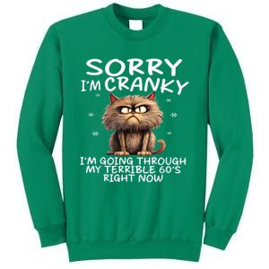 Cat Sorry IM Cranky IM Going Through My Terrible 60S Sweatshirt