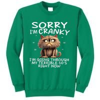 Cat Sorry IM Cranky IM Going Through My Terrible 60S Sweatshirt