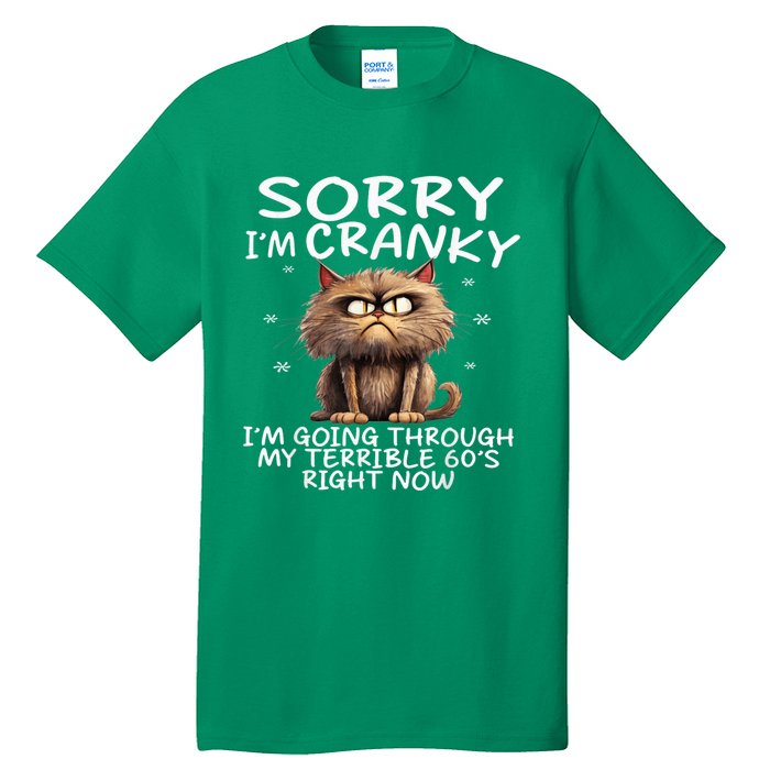 Cat Sorry IM Cranky IM Going Through My Terrible 60S Tall T-Shirt