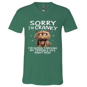 Cat Sorry IM Cranky IM Going Through My Terrible 60S V-Neck T-Shirt