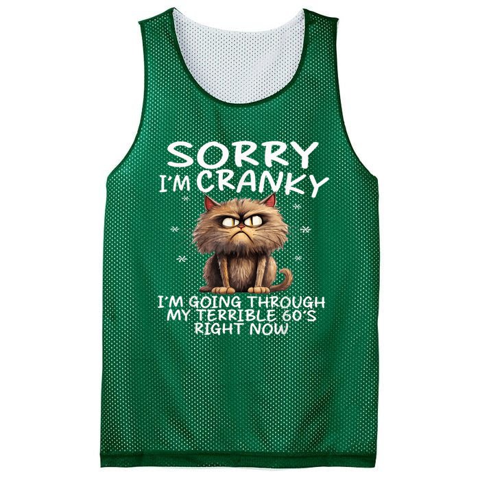 Cat Sorry IM Cranky IM Going Through My Terrible 60S Mesh Reversible Basketball Jersey Tank