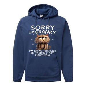 Cat Sorry IM Cranky IM Going Through My Terrible 60S Performance Fleece Hoodie