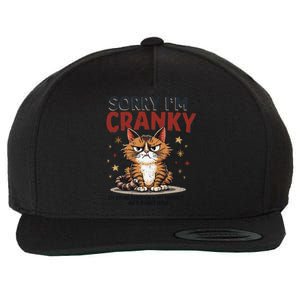 Cat Sorry IM Cranky IM Going Through My Terrible 60S Gift Wool Snapback Cap