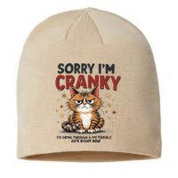 Cat Sorry IM Cranky IM Going Through My Terrible 60S Gift Sustainable Beanie