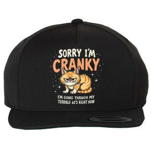 Cat Sorry IM Cranky IM Going Through My Terrible 60S Gift Wool Snapback Cap