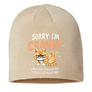 Cat Sorry IM Cranky IM Going Through My Terrible 60S Gift Sustainable Beanie