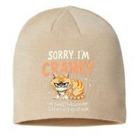 Cat Sorry IM Cranky IM Going Through My Terrible 60S Gift Sustainable Beanie