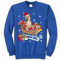 Cute Shiba Inu Dog Christmas Santa Hat Xmas Puppy Lover Cute Gift Tall Sweatshirt