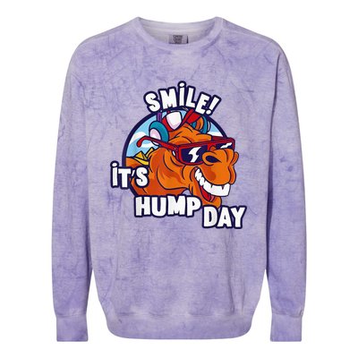 Camel Smile! ItS Hump Day Funny Hump Day Camel Sunglass Colorblast Crewneck Sweatshirt