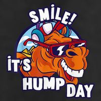 Camel Smile! ItS Hump Day Funny Hump Day Camel Sunglass 7 Panel Mesh Trucker Snapback Hat