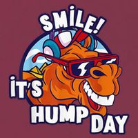 Camel Smile! ItS Hump Day Funny Hump Day Camel Sunglass 16oz Travel Tumbler