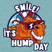 Camel Smile! ItS Hump Day Funny Hump Day Camel Sunglass Sueded Cloud Jersey T-Shirt