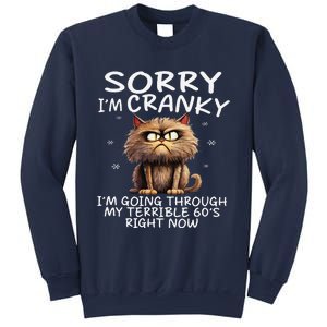 Cat Sorry IM Cranky IM Going Through My Terrible 60S Sweatshirt