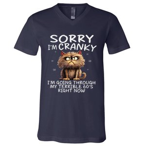 Cat Sorry IM Cranky IM Going Through My Terrible 60S V-Neck T-Shirt