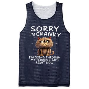 Cat Sorry IM Cranky IM Going Through My Terrible 60S Mesh Reversible Basketball Jersey Tank