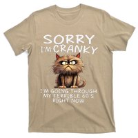 Cat Sorry IM Cranky IM Going Through My Terrible 60S T-Shirt