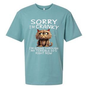 Cat Sorry IM Cranky IM Going Through My Terrible 60S Sueded Cloud Jersey T-Shirt